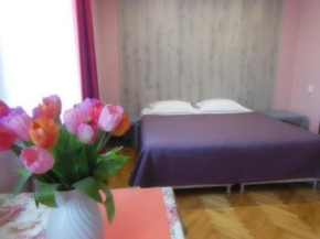 Mini-Hotel Svetlana
